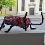 Ausstellungsfoto: Schulprojekt 2017 "Insekten"